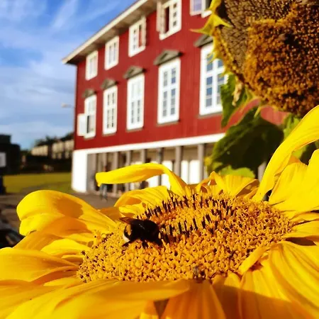 Hostel Ronningen Oslo