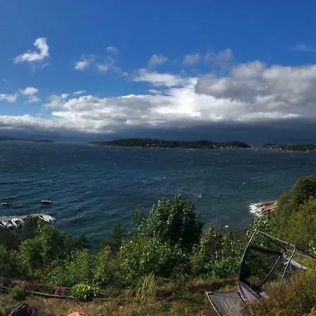 White Eagle By The Fjord