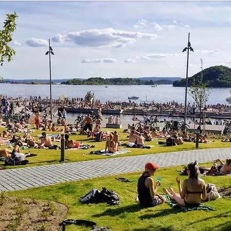 Beachfront High Standard Sørenga Oslo