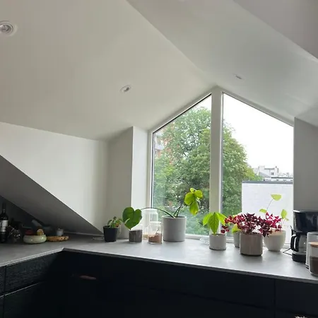 Apartman Sentral Loftsleilighet Med Solfylt Utetplass Oslo