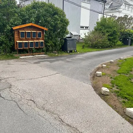 With1 Bedroom Separate Living With A Sofa Bed And A Tiny Kitchen A Bathroom Located In Nordstrand Near By The Sea For 3 Guests With A Garden And Grill 5 Extra Guests With Extra Cost In The With Sea View Just Outside The Apar Apartman