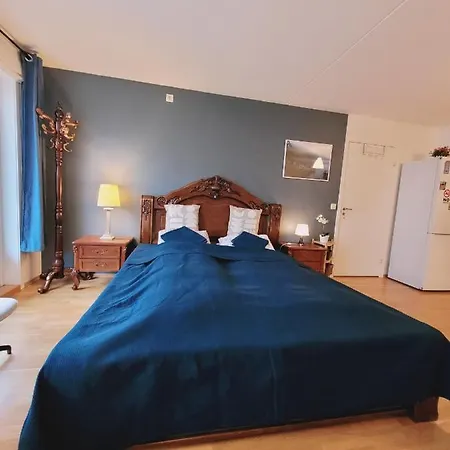 Spacious Private With Private Kitchen & Shared Bathroom Homestay *