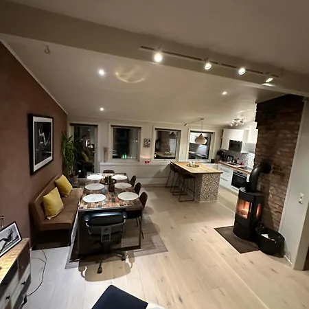 Penthouse In Oslo's Hippest District Gruenerlokka Apartment *