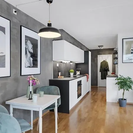 Appartement Moderne Og Vakker Leilighet, Sentrum Oslo