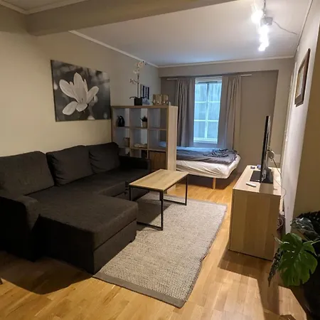 Sjarmerende Og Sentral Hybel Med Egen Inngang Apartment *