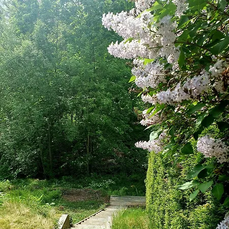 Tranquil In Picturesque Neighborhood Lägenhet