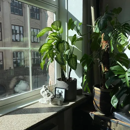 Apartamento Art Loft In Downtown With Cinema Oslo