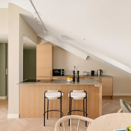 Dinbnb Gruenerlokka I Penthouse With Private Rooftop I 2-bedroom With Double Queen & 2 Bathrooms