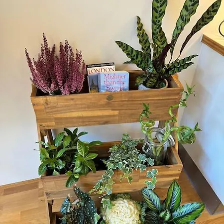 Botanical Bliss In Oslo! Apartment *