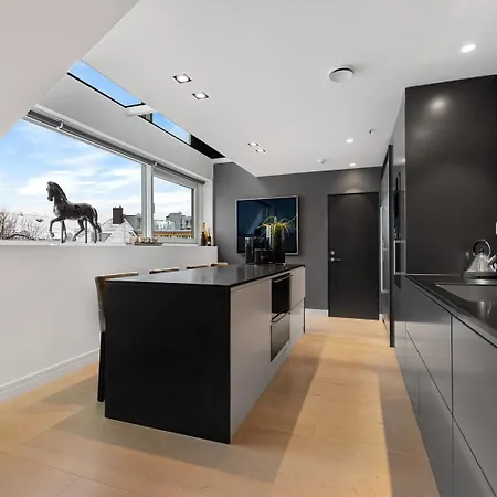 Luxury Penthouse With Rooftop Terrace Appartement