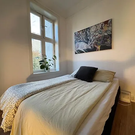 Apartment Fast Wifi Working Place Cozy