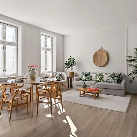 Fast Wifi Working Place Cozy Apartment Oslo