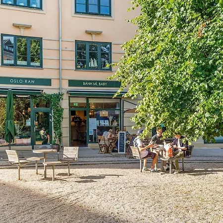 Fast Wifi Working Place Cozy Apartment Oslo