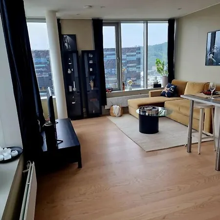 18th Flr Gem Views & Luxury 公寓 奥斯陆