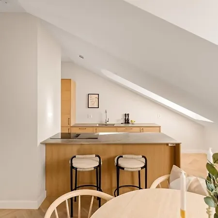 Dinbnb Gruenerlokka I Penthouse With Private Rooftop I 2 Bedrooms & 2 Bathrooms Appartement