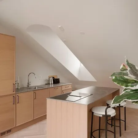 Dinbnb Gruenerlokka I Penthouse With Private Rooftop I 2 Bedrooms & 1 Bathroom *