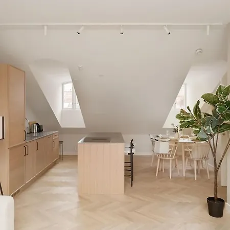 Dinbnb Gruenerlokka I Penthouse With Private Rooftop I 2 Bedrooms & 1 Bathroom Apartman *