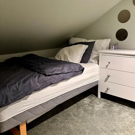 Charming Near The Woods With Parking Apartment