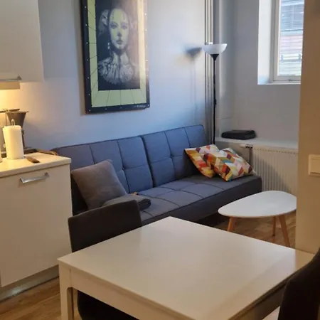 Leilighet 1 Bedroom In Sentrum *