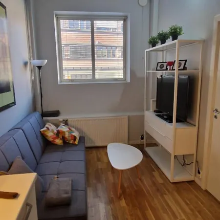 Leilighet 1 Bedroom In Sentrum Oslo