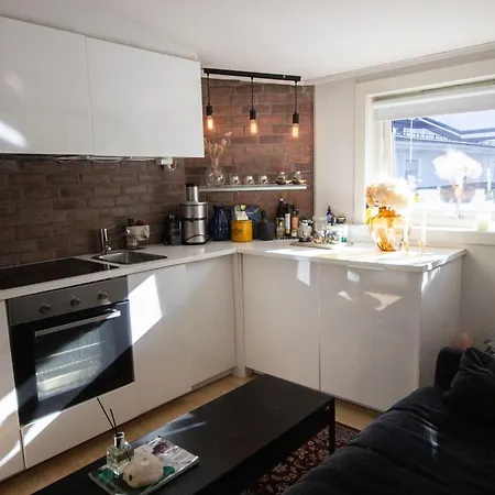Lejlighed Cozy Oslo