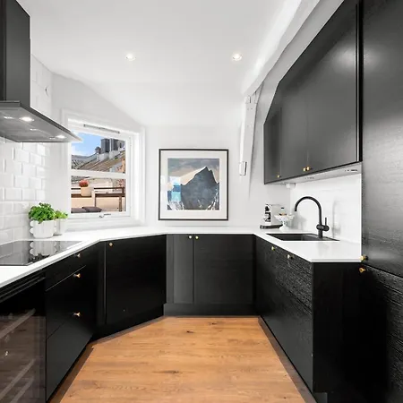 Large Penthouse With Roof Terrace Oslo