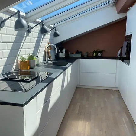 Apartamento Stylish Gruenerlokka Penthouse With Rooftop Terrace Oslo