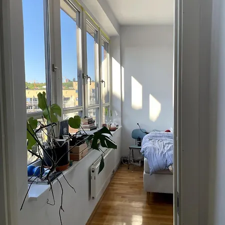 The Nest - Feels Like - Quiet And Bright Oslo