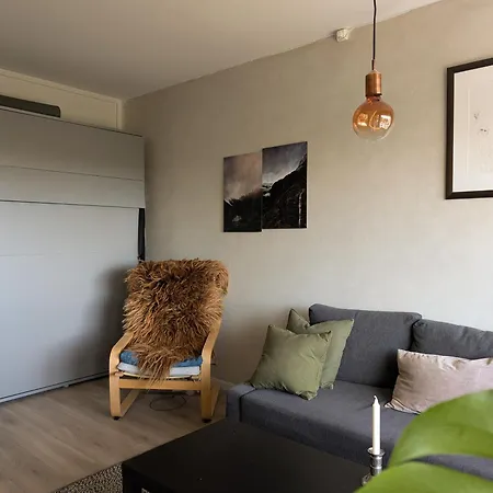Apartamento Spacious And Cozy Study With Balcony Oslo