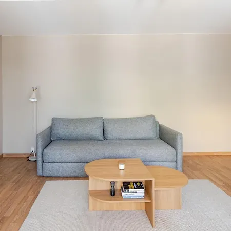 Spacious And Super 奥斯陆