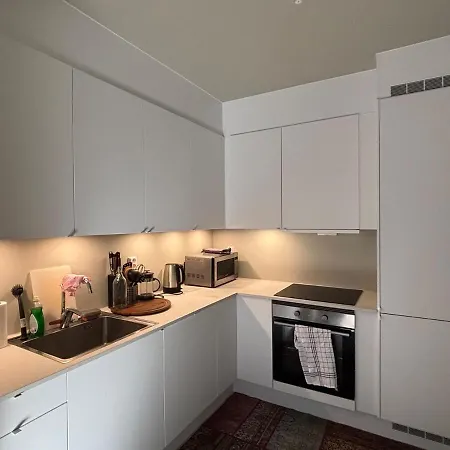 1b1b Furnished * Oslo