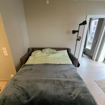 1b1b Furnished Leilighet Oslo