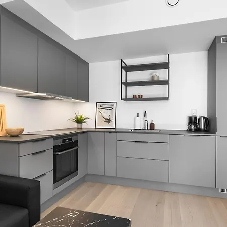 High Standard In Center Daire Oslo