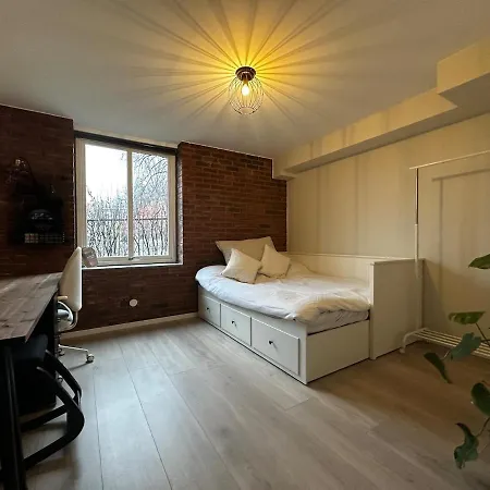 Cozy, And Spacious Apartament Oslo