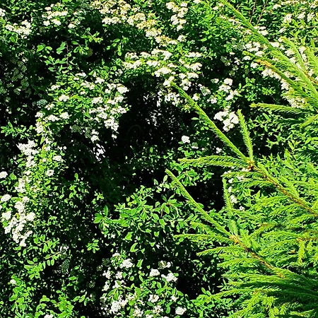 Tranquil In Picturesque Neighborhood Lägenhet *
