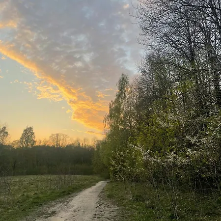 Perfect Location By The Forest Edge In Vakantiehuis