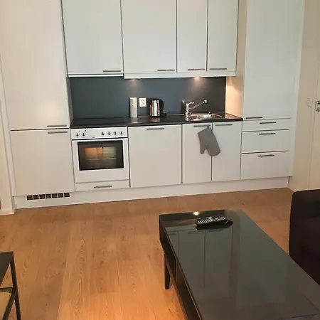 Moderen 2 Bedroom Apartment オスロ