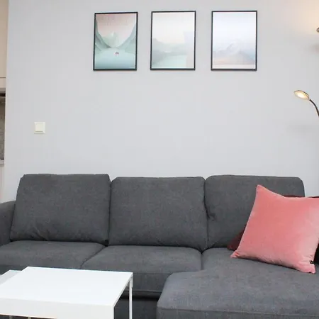 Nordic Host - Center 2 Bed / 2 Bath - Skippergata - 3 Minutes From Station 오슬로