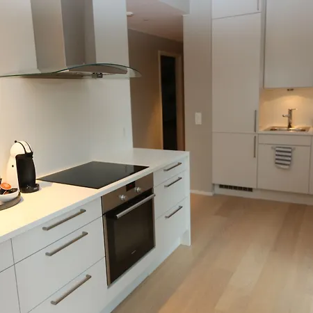 Apartman Sonderland Apt. Dronning Eufemias Gt 20-24 Oslo