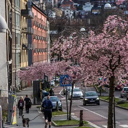Hotel Norwegian Hotels And