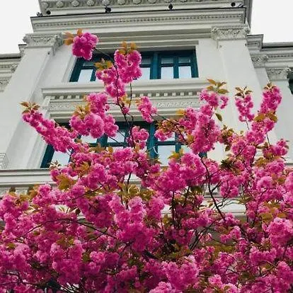 New High Standard Next To The Royal Castle/harbor In Осло