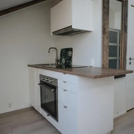 Cozy Loft In Apartamento *