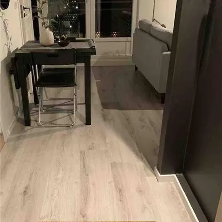 Moderne Sentrumsleilighet Apartment