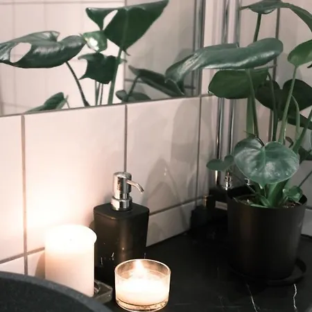 Studio Apartment Leilighet