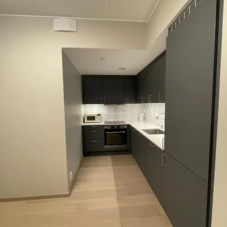 Apartment Sentrum Bjorvika Barcode Operahuset
