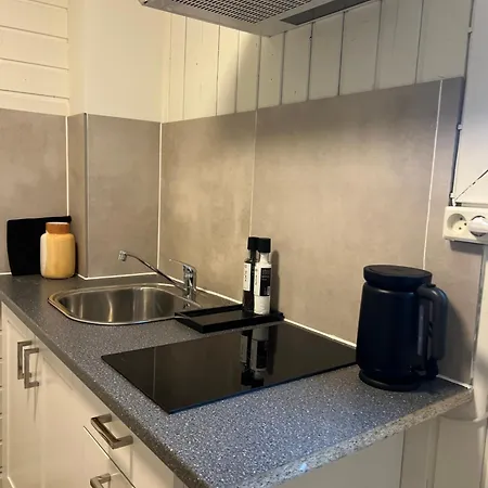 Gamle - Enebakkveien Apartman *