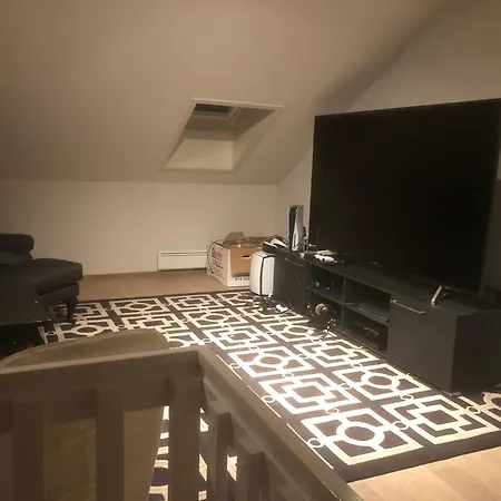 Penthouse Sentralt I * Oslo