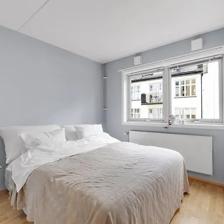 Moderne Og Vakker Leilighet, Sentrum *