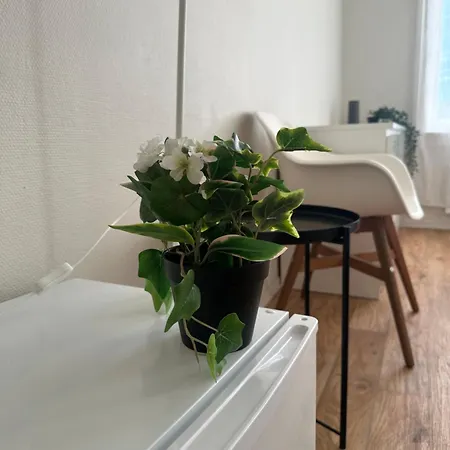 Guest house The Bloom *
