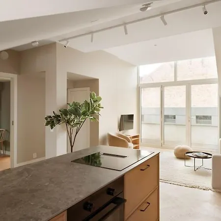 Dinbnb Gruenerlokka I Penthouse With Private Rooftop I 2 Bedrooms & 1 Bathroom Appartement